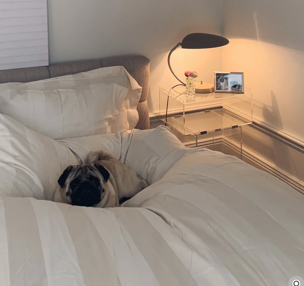 Premium Super Fluffy Duvet